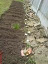 View The Seeds sown April 08. Album