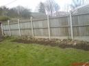 View The Seeds sown April 08. Album