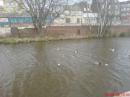 View The Walks on the the Leeds-Liverpool canal. Album