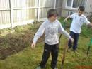 View The The Garden. Album