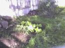 View The More home grown!!! Album
